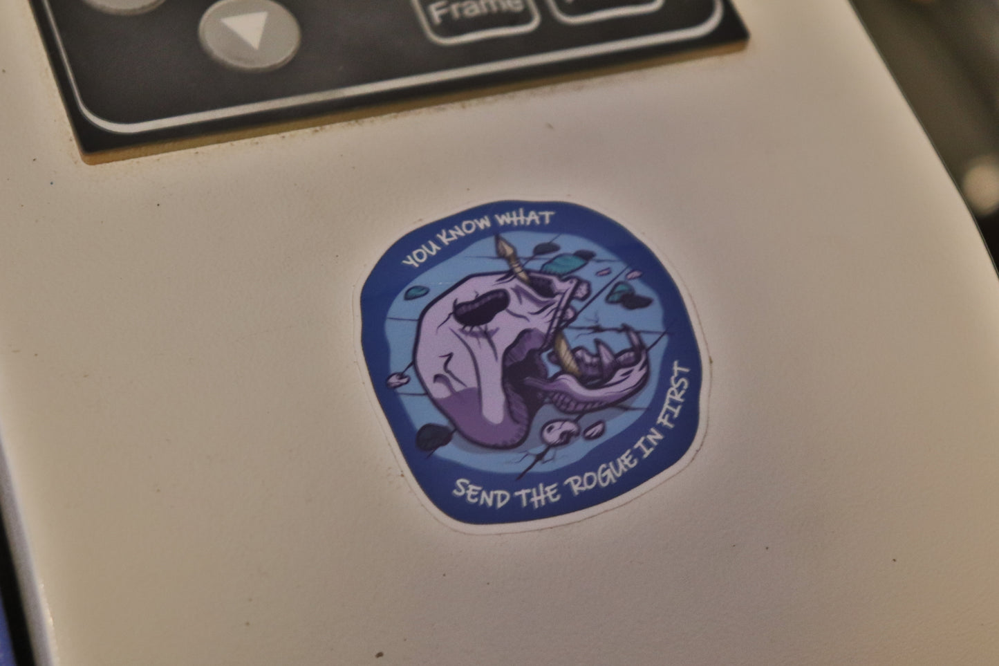 You Know What, Send The Rogue In First - Vinyl Sticker