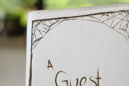 A Guest for mr. Spider sketchbook