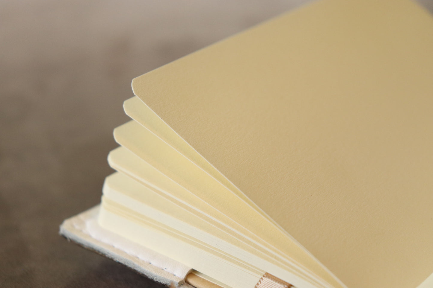 A Guest for mr. Spider sketchbook