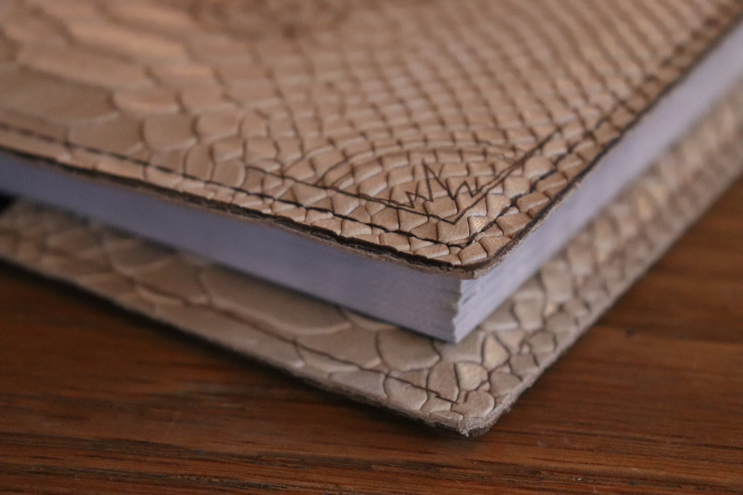 D&D 5E - PHB (2014) - The Conjurer (White Dragonscale)