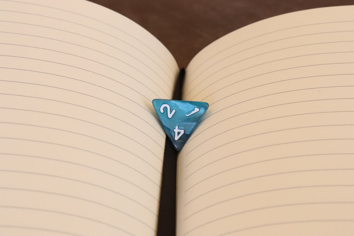 The Molly - ready to ship notebook