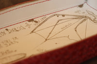 Dice Tray - Dragon, Red Dragon bottom