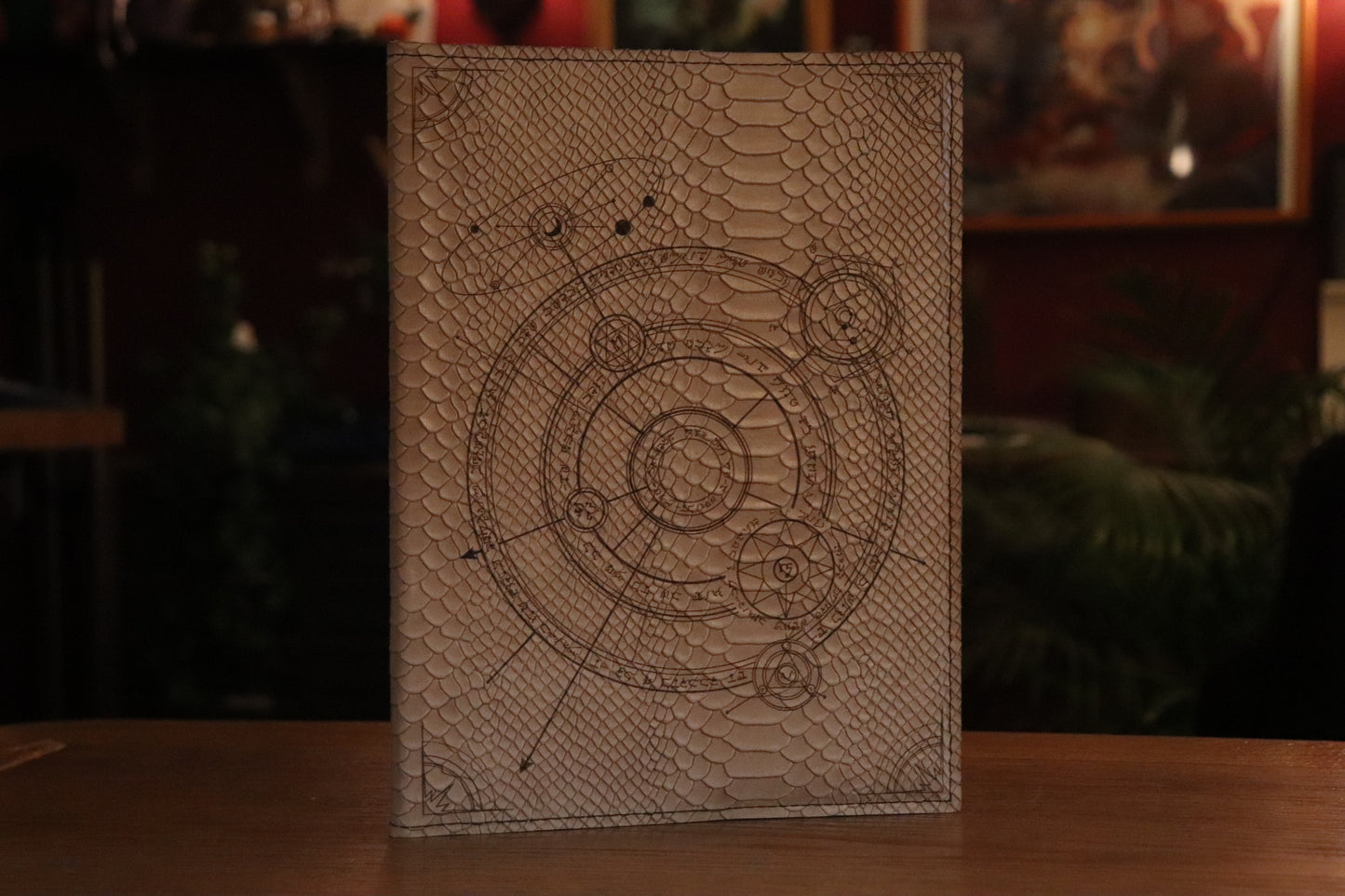 D&D 5E - PHB (2014) - The Conjurer (White Dragonscale)