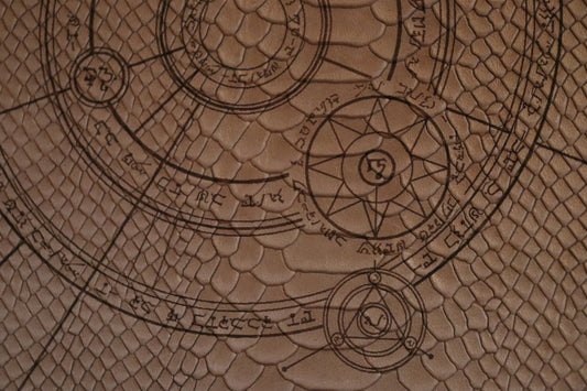 D&D 5E - PHB (2014) - The Conjurer (White Dragonscale)