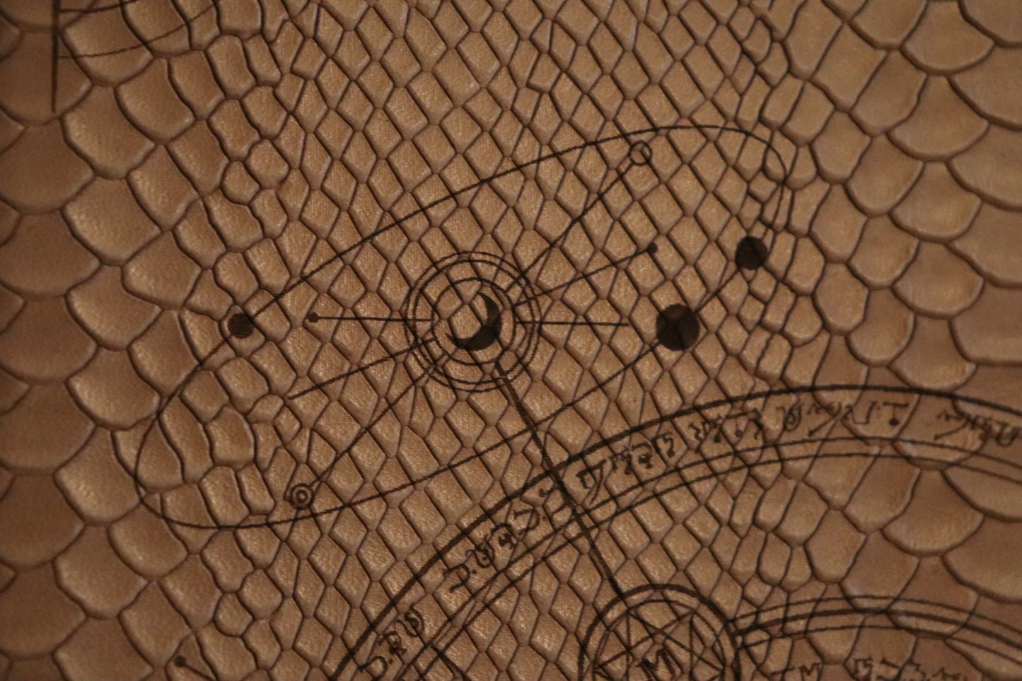 D&D 5E - PHB (2014) - The Conjurer (White Dragonscale)