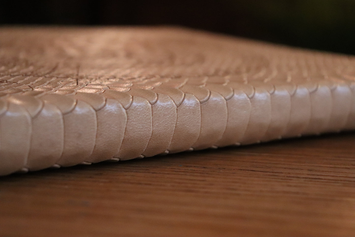 D&D 5E - PHB (2014) - The Conjurer (White Dragonscale)