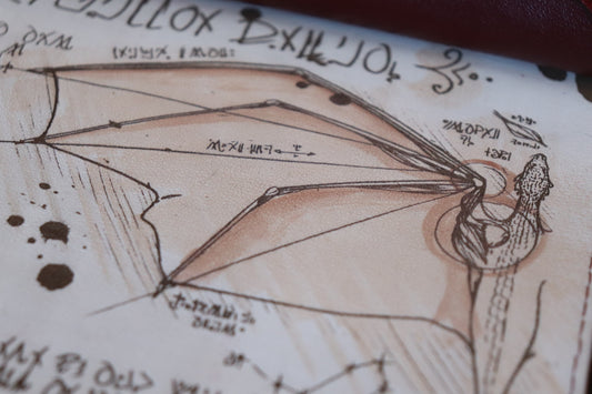 The Painted Dragon Scroll