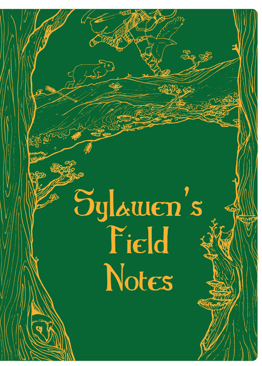 Custom notebook order C. Fiore