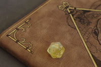 The Bestiary - Monster Manual - D&D5E Book Sleeve